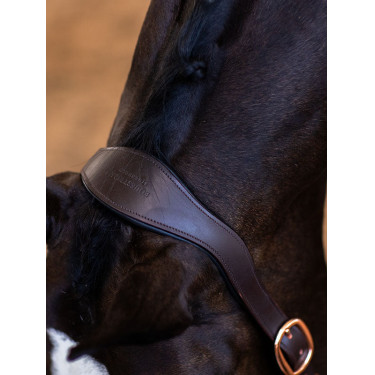 Cabezada de cuero Equestrian Stockholm anatómica brillante Noche sin luna