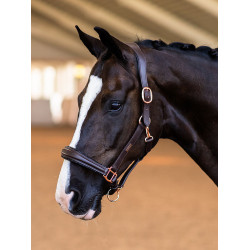 Cabezada de cuero Equestrian Stockholm anatómica brillante Noche sin luna