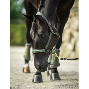 Cabezada de cuero Equestrian Stockholm anatómica brillante Valle impactante