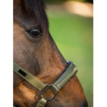 Cabezada de cuero Equestrian Stockholm anatómica brillante Valle impactante