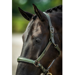 Cabezada de cuero Equestrian Stockholm anatómica brillante Valle impactante