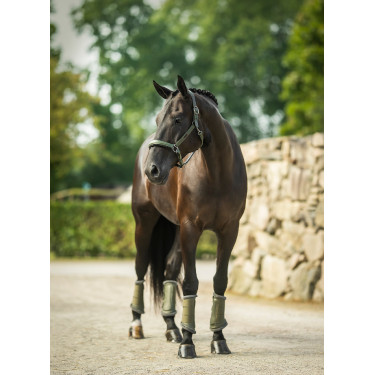 Cabezada de cuero Equestrian Stockholm anatómica brillante Valle impactante