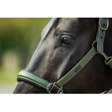 Cabezada de cuero Equestrian Stockholm anatómica brillante Valle impactante