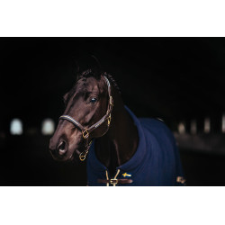 Cabezal y ramal de cuero Equestrian Stockholm con cadena Nación sueca