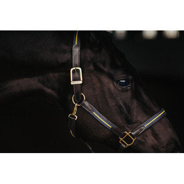 Cabezal y ramal de cuero Equestrian Stockholm con cadena Nación sueca