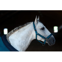 Cabezada y ramal Equestrian Stockholm Azul aurora