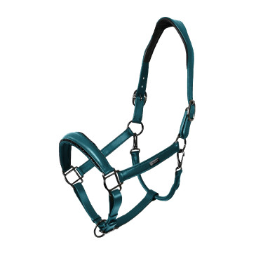 Cabezada de cuero Equestrian Stockholm anatómica brillante Azul verde azulado