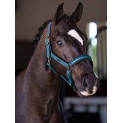 Cabezada de cuero Equestrian Stockholm anatómica brillante Azul verde azulado