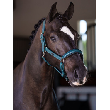 Cabezada de cuero Equestrian Stockholm anatómica brillante Azul verde azulado