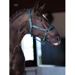 Cabezada de cuero Equestrian Stockholm anatómica brillante Azul verde azulado