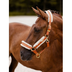 Cabezada y ramal Equestrian Stockholm con borreguillo Bronce o oro