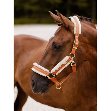 Cabezada y ramal Equestrian Stockholm con borreguillo Bronce o oro