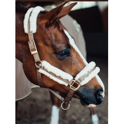 Cabezada y ramal Equestrian Stockholm con borreguillo Champán Beige