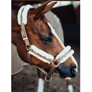Cabezada y ramal Equestrian Stockholm con borreguillo Champán Beige