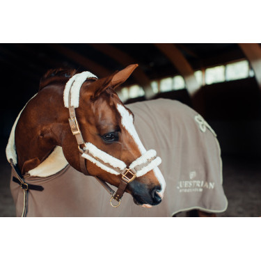 Cabezada y ramal Equestrian Stockholm con borreguillo Champán Beige