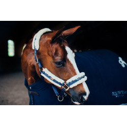 Cabezada y ramal Equestrian Stockholm con borreguillo Marino Azul marino