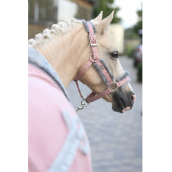 Cabezada y ramal Equestrian Stockholm con borreguillo Rosa