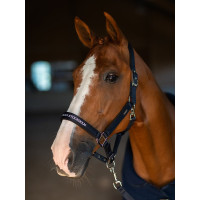 Cabezada y ramal Equestrian Stockholm plano Tecnología moderna marina