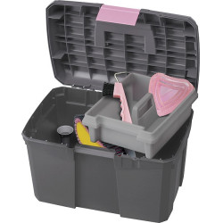 Caja de limpieza Norton Gris / rosa