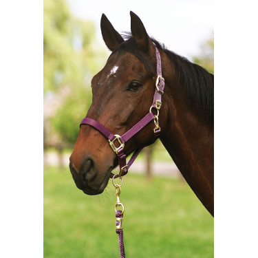 Cabezada Equi-Theme "Nylon" Púrpura Violeta