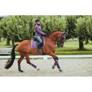 Pantalón de equitación Equestrian Stockholm Elite para mujer Gris Pantalón de equitación Equestrian Stockholm Elite para mujer Gris