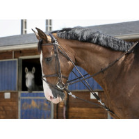 Gogue con poleas Riding World Havana