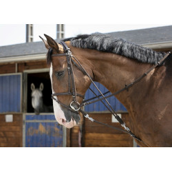 Gogue con poleas Riding World Gogue con poleas Riding World