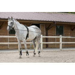 Lange Zügel Riding World Cuero / Cuerda Lange Zügel Riding World Cuero / Cuerda