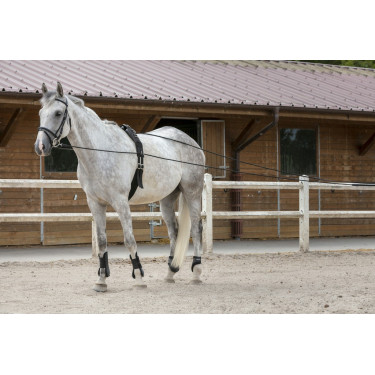 Lange Zügel Riding World Cuero / Cuerda Lange Zügel Riding World Cuero / Cuerda