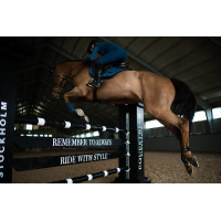 Protectores de menudillo Equestrian Stockholm anatómicos Edición Noir