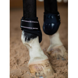 Protectores de menudillo Equestrian Stockholm anatómicos Tecnología moderna marina Azul marino