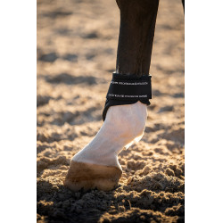 Protectores de menudillo Equestrian Stockholm anatómicos Tecnología moderna marina Azul marino