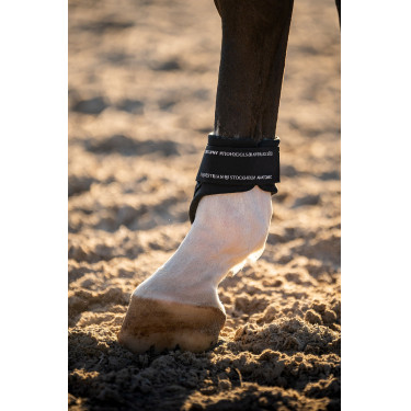 Protectores de menudillo Equestrian Stockholm anatómicos Tecnología moderna marina Azul marino