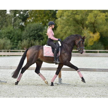 Mantilla de doma Equestrian Stockholm Perla rosa Mantilla de doma Equestrian Stockholm Perla rosa