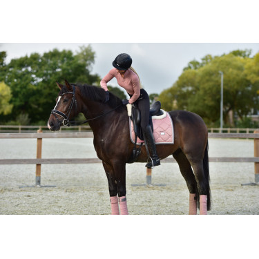 Mantilla de doma Equestrian Stockholm Perla rosa Mantilla de doma Equestrian Stockholm Perla rosa