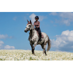 Manta de salto Equestrian Stockholm Amaranthe Manta de salto Equestrian Stockholm Amaranthe