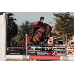 Manta de salto Equestrian Stockholm Burdeos
