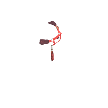 Cabestro de moda para juguete Mini Poni LeMieux Cabestro de moda para juguete Mini Poni LeMieux