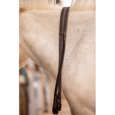 Riendas Eden Pénélope Havana Marrón