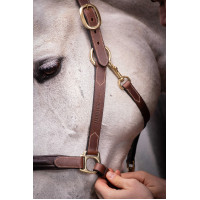 Cabezada de cuero con 3 mosquetones – PADDOCK Havana Marrón