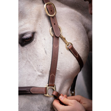 Cabezada de cuero con 3 mosquetones – PADDOCK Havana Marrón
