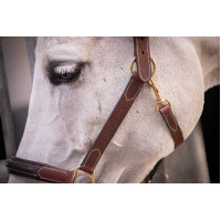 Cabezada de cuero con 3 mosquetones – PADDOCK Havana Marrón