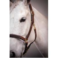 Cabezada de cuero con 3 mosquetones – PADDOCK Havana Marrón