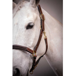 Cabezada de cuero con 3 mosquetones – PADDOCK Havana Marrón