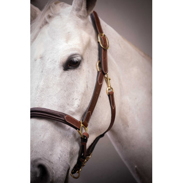 Cabezada de cuero con 3 mosquetones – PADDOCK Havana Marrón