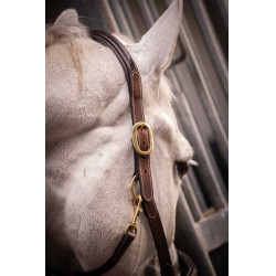 Cabezada de cuero con 3 mosquetones – PADDOCK Havana Marrón