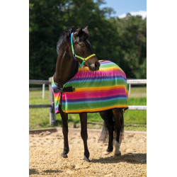 Manta de secado Rainbow para shettys HKM Rayas multicolor