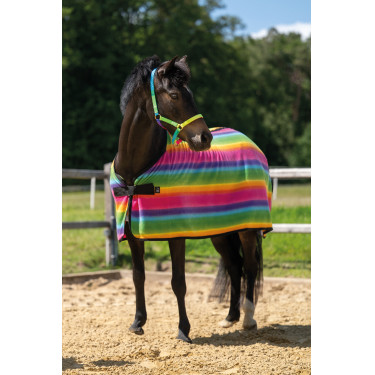 Manta de secado Rainbow para shettys HKM Rayas multicolor