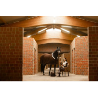 Manta secante Arezzo Lauria Garrelli Marrón oscuro