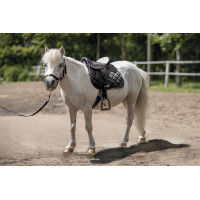 Silla para Shetland set Lucy HKM Negro